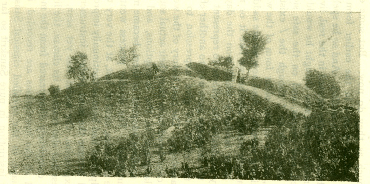 Fig. 33 Ruins of the Sakiya tope, put up by his relatives over their portion of the ashes from the funeral pyre of the Buddha.