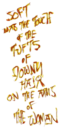 Soft was the touch of the tufts of downy Hair on the arms of The Woman Soft was the touch of the tufts of downy Hair on the arms of The Woman
