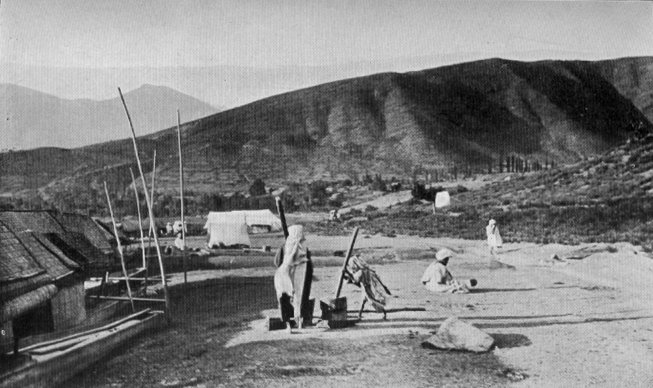 Threshing Rice In 'Mortar,' Bandipur, Kashmir