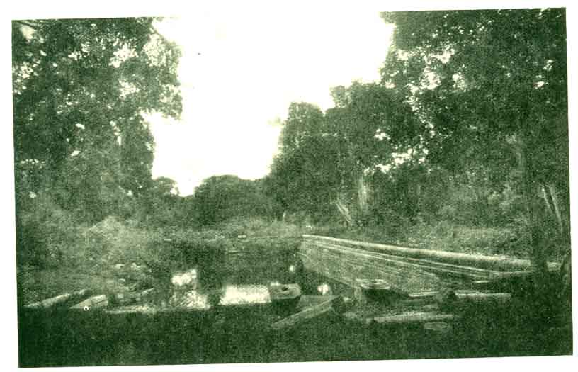 Fig. 7. — Ancient open-air bath at Anuradhapura (No. 2).