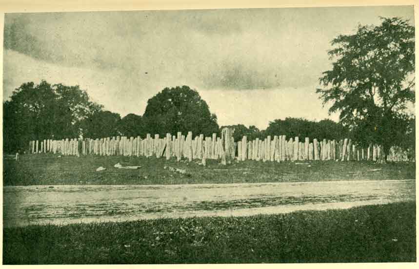 Fig. 10. — The Thousand Pillars. Ruins Of The Foundation Of The Seven-Storied, Great Brazen Palace At Anuradhapura. [From Cave's Ruined Cities of Ceylon.]